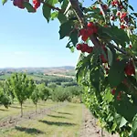 Cadabo Монтекаротто