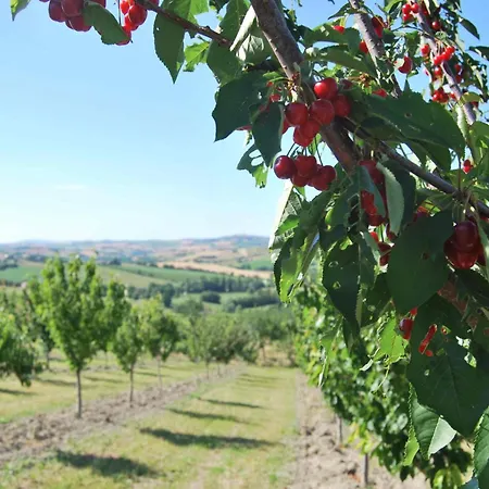 Cadabo Montecarotto