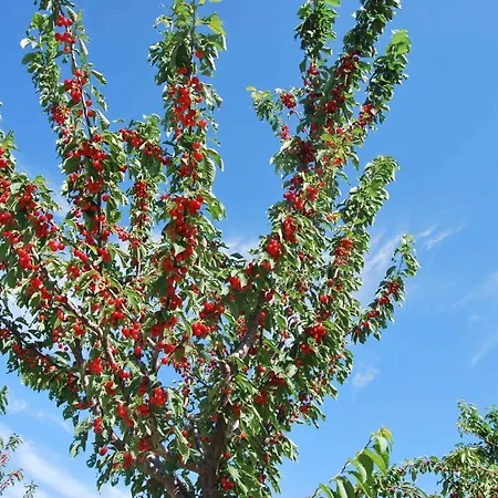 Cadabò Alloggio per agriturismo Montecarotto
