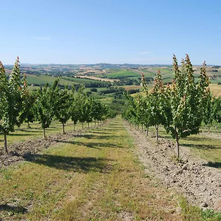 Cadabo Bauernhof Montecarotto