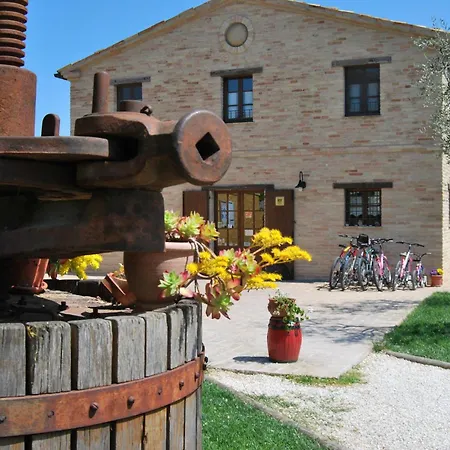 Cadabò * Montecarotto