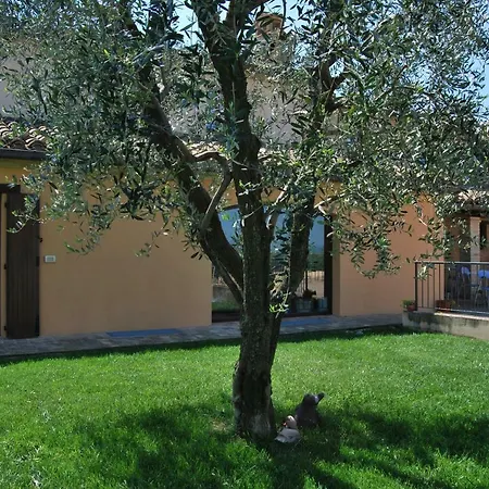 Cadabò Montecarotto